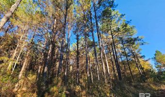 0 Three Mile Rd, Atmore, AL 36502