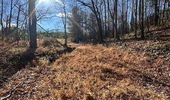 0 Lot 2B Police Tower Rd Lot 2B, Appomattox, VA 24522