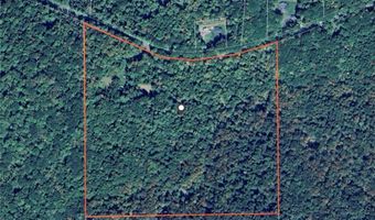 360 Ives Hill Rd, Afton, NY 13730
