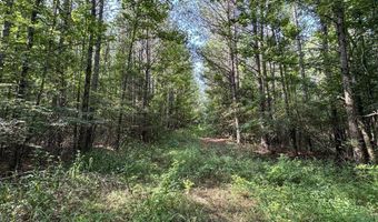 Pine Lodge Road, Batesville, MS 38606