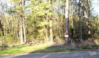 LR 29, Ashdown, AR 71822