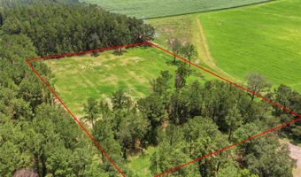 254 TH Ln Lot 19, Alachua, FL 32615