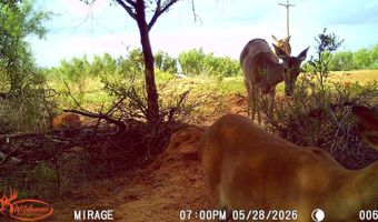 County Road 239, Afton, TX 79220