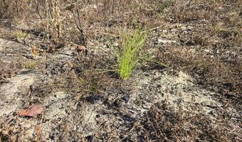 1228 River Rd, Ariton, AL 36311