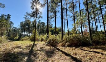 TBD Binnicker Bridge Road, Bamberg, SC 29003