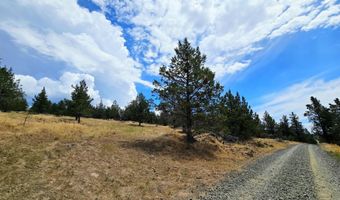 Canvasback Drive 28, Bonanza, OR 97623