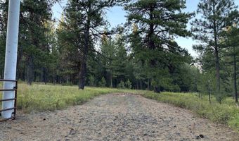 Tbd Harlow Ridge Rd-Cloverland Estates Lot 37, Asotin, WA 99402