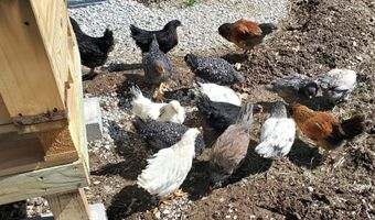 4775 S 50th Rd, Aldrich, MO 65601