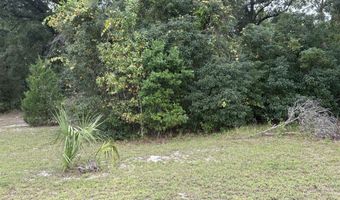 3319 GOLDEN GEM Rd, Apopka, FL 32712