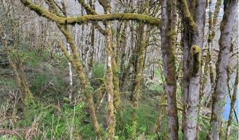 Northrup Creek Rd, Birkenfeld, OR 97016