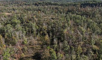 Off Hwy F, Annapolis, MO 63620