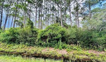 Peachtree Rd lot 68N, Apalachicola, FL 32320