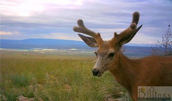 NHN Ruby Creek Road lot Bvr 946-18, Belfry, MT 59008