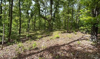 County Road 544, Bakersfield, MO 65609