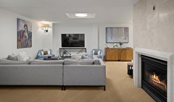 650 S Monarch St Unit 11, Aspen, CO 81611