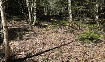 Route 9 lot 13, Aurora, ME 04428