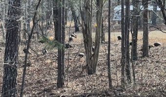 35 Prayer Trl, Aragon, GA 30104