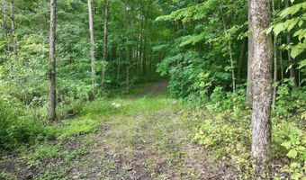 14900 Woodbridge Rd, Camden, MI 49232