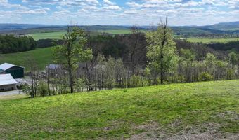 258 Lovely Rd, Alum Bank, PA 15521