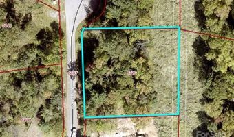 25 Maggies Ln, Asheville, NC 28803