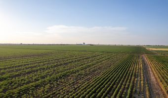 Shepard Street, Abernathy, TX 79311