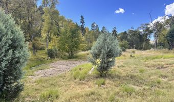 353 Sandesta Dr Lot 71, Alto, NM 88312