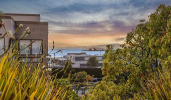 545 Pierce St 1206, Albany, CA 94706