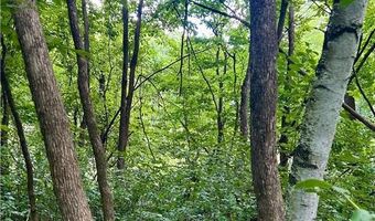 Lot 2 30th Avenue, Amery, WI 54001