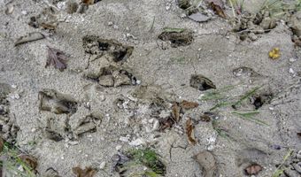 2116 Highway 84 E, Brookhaven, MS 39601