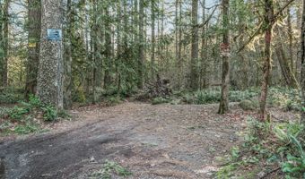 E Barlow Trail Rd, Brightwood, OR 97011