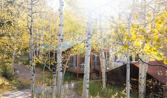 1087 Highway 7 Bus Rte, Allenspark, CO 80510