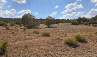 215 Off Cathedral Vly, Ash Fork, AZ 86320