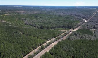 1 Robinsonville Rd, Atmore, AL 36502