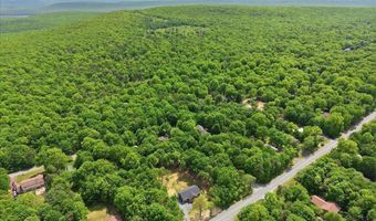 852 Stony Mountain Rd, Albrightsville, PA 18210
