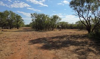 6525 US 180, Anson, TX 79501
