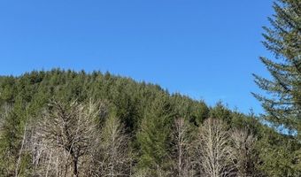 Logsden Rd, Blodgett, OR 97326