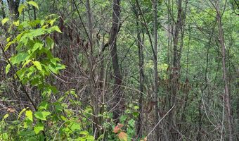 88 Acres Bolden Br, Andrews, NC 28901