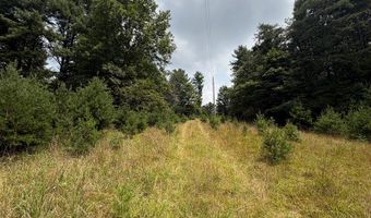 Hall Hollow Road, Austinville, VA 24312
