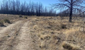 0 Bull Pine Rd 4, Bly, OR 97622