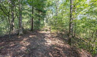 23 59 Ac Chestnut Flats Rd, Andrews, NC 28901