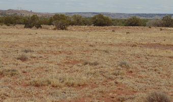 42 N5576, Concho, AZ 85924