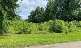 OLD MORRIS CHAPEL Rd, Adamsville, TN 38310