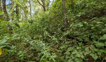 Lot 02 Cathedral DR, Aptos, CA 95003
