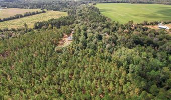 1289 Bruner Pond Rd, Ashford, AL 36312