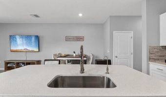 416 MANGROVE SHADE Cir, Apollo Beach, FL 33572