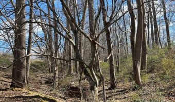 Friends Mission Road lot 4010-19-1, Ararat, VA 24053