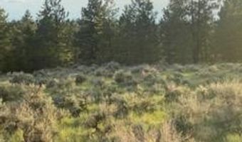 7 Bugling Elk, Columbus, MT 59019