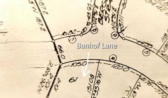 61 BANHOF Ln, Bellaire, MI 49615