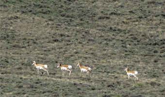 517 Deadman Creek Rd, Bridger, MT 59014