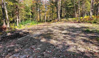 00 Duck Pond Rd, Barton, VT 05822